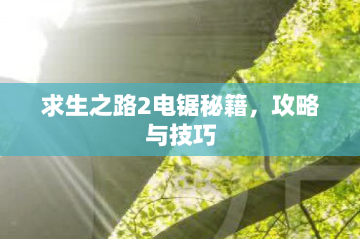 求生之路2电锯秘籍图片