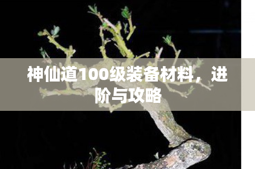 神仙道100级装备材料图片