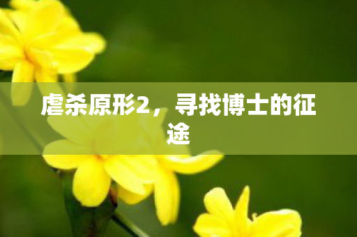 寻找博士的征途图片