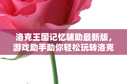 游戏助手助你轻松玩转洛克世界图片
