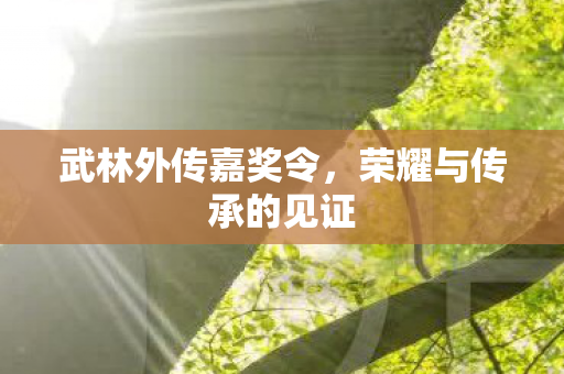 荣耀与传承的见证图片
