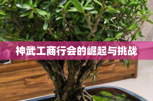 神武工商行会的崛起与挑战图片