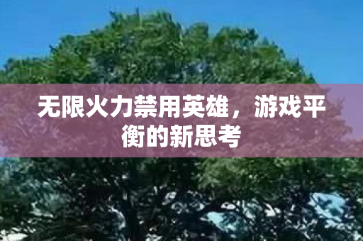 无限火力禁用英雄图片