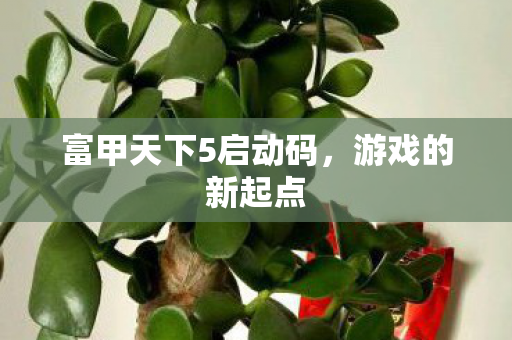 富甲天下5启动码图片