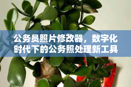 数字化时代下的公务照处理新工具图片