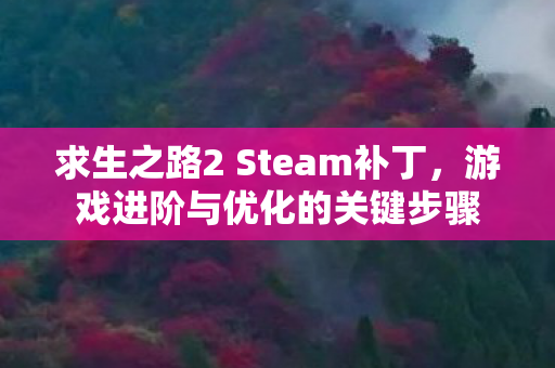 求生之路2 Steam补丁图片