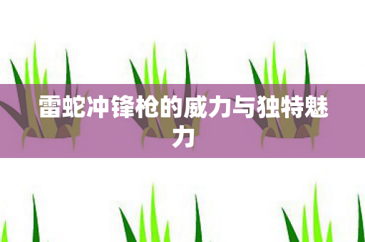 雷蛇冲锋枪的威力与独特魅力图片