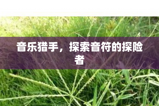 探索音符的探险者图片