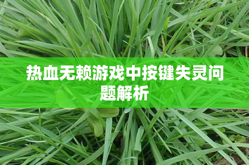 热血无赖游戏中按键失灵问题解析图片