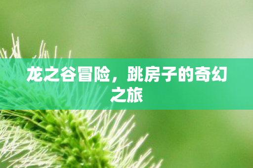 跳房子的奇幻之旅图片
