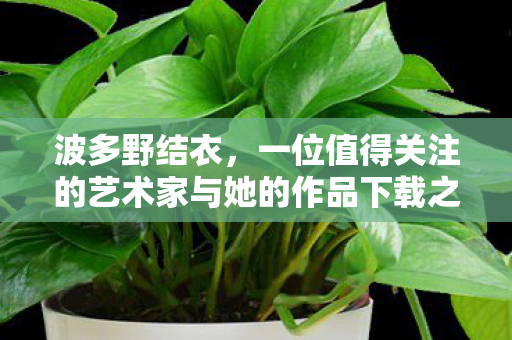 一位值得关注的艺术家与她的作品下载之旅图片