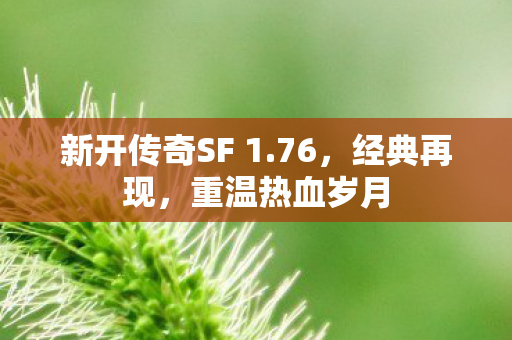 新开传奇SF 1图片