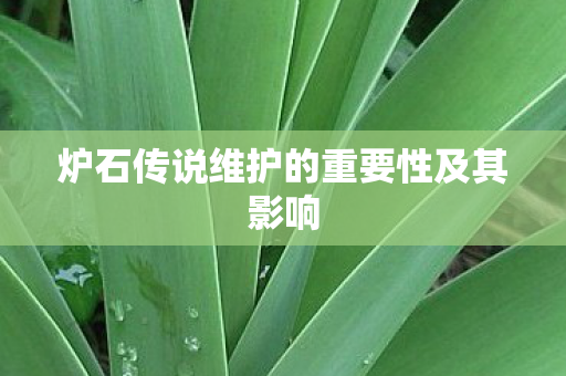 炉石传说维护的重要性及其影响图片