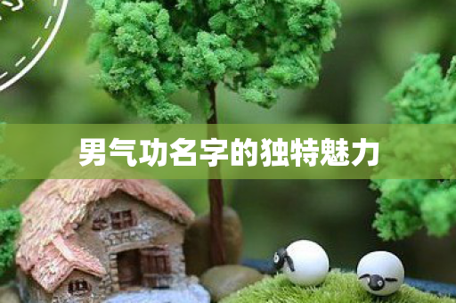 男气功名字的独特魅力图片