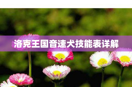 洛克王国音速犬技能表详解图片