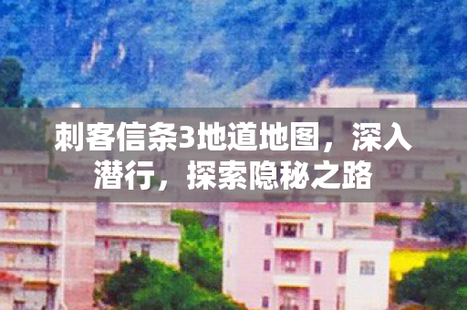 刺客信条3地道地图图片