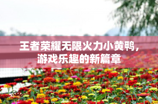 王者荣耀无限火力小黄鸭图片