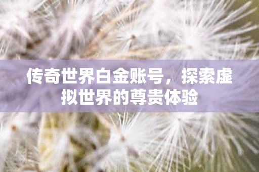 探索虚拟世界的尊贵体验图片