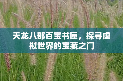 探寻虚拟世界的宝藏之门图片