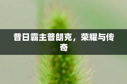 昔日霸主普朗克图片