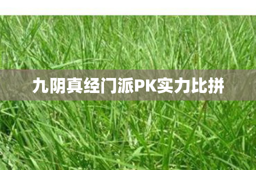 九阴真经门派PK实力比拼图片