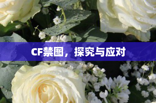 探究与应对图片
