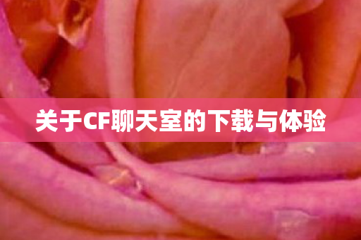 关于CF聊天室的下载与体验图片