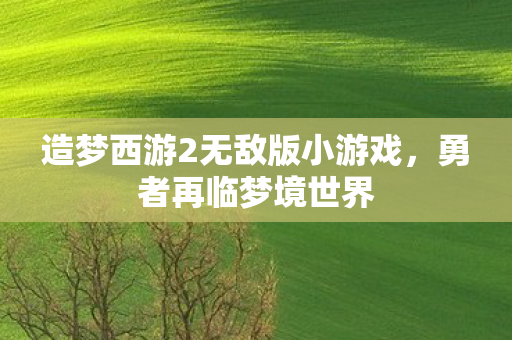 造梦西游2无敌版小游戏图片