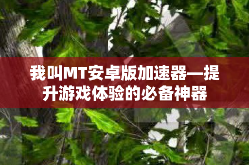 提升游戏体验的必备神器图片