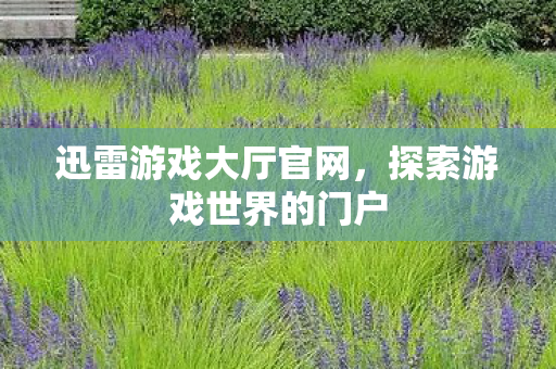 探索游戏世界的门户图片