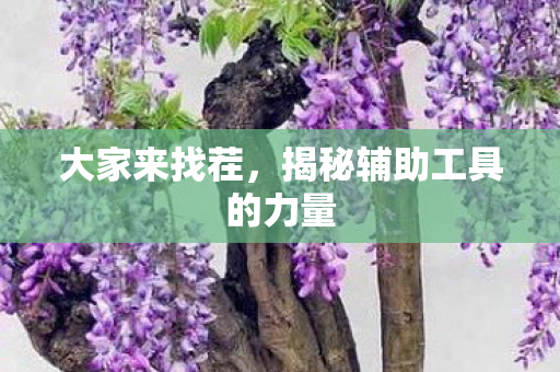 揭秘辅助工具的力量图片
