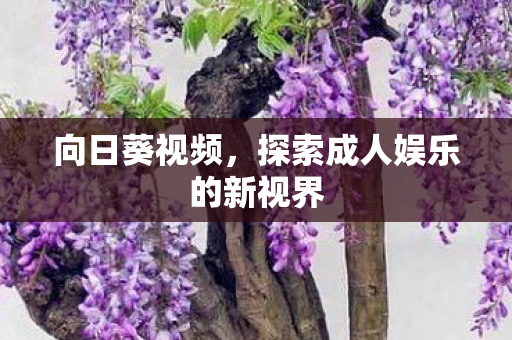 探索成人娱乐的新视界图片