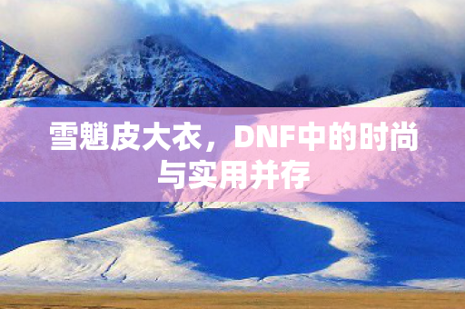 DNF中的时尚与实用并存图片