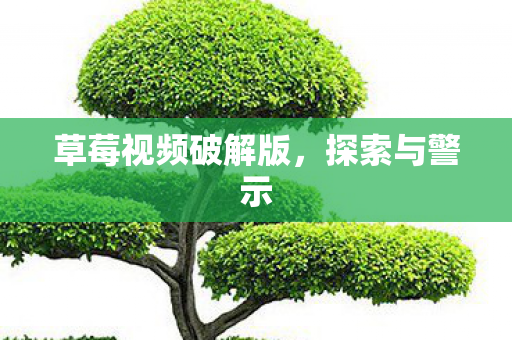草莓视频破解版图片