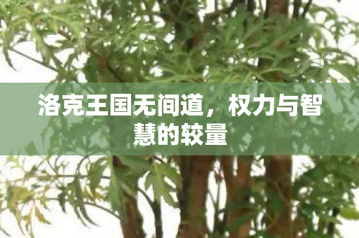 权力与智慧的较量图片