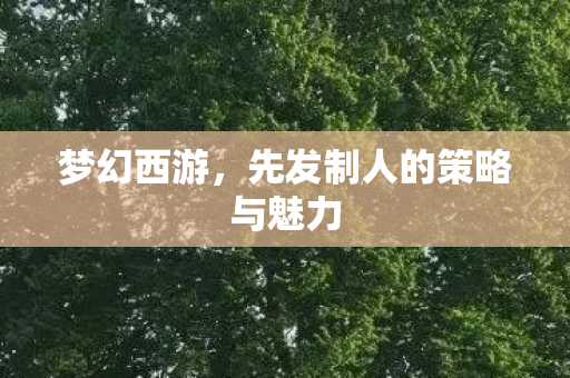 先发制人的策略与魅力图片