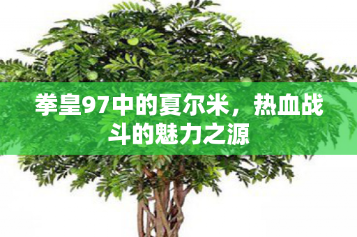 拳皇97中的夏尔米图片