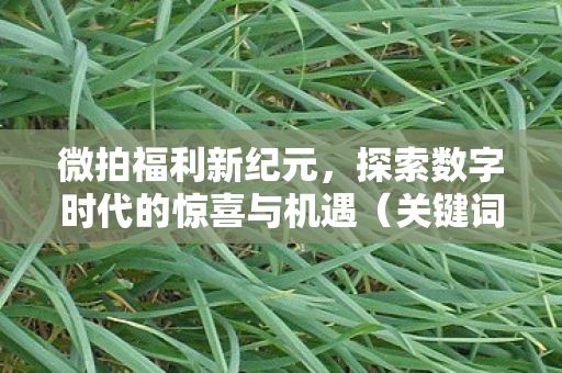 探索数字时代的惊喜与机遇图片