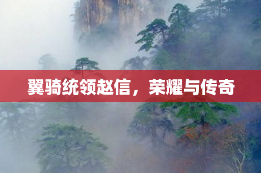 翼骑统领赵信图片