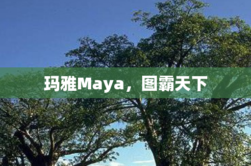 玛雅Maya图片