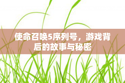 游戏背后的故事与秘密图片