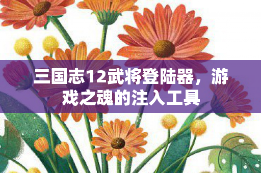 三国志12武将登陆器图片