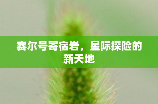 星际探险的新天地图片