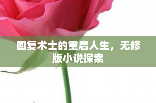 回复术士的重启人生图片