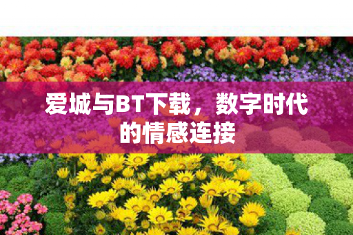 数字时代的情感连接图片