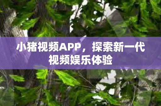 探索新一代视频娱乐体验图片