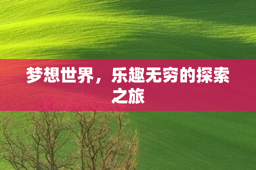 乐趣无穷的探索之旅图片