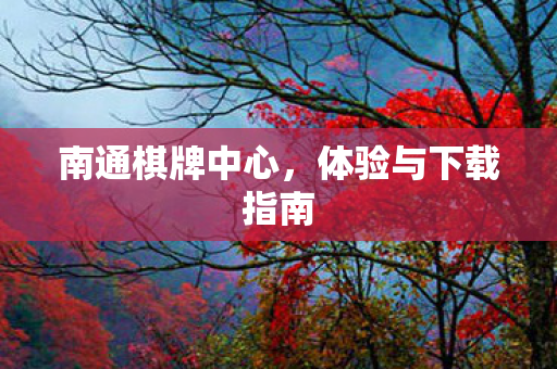 体验与下载指南图片
