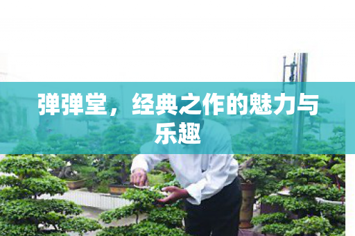 经典之作的魅力与乐趣图片