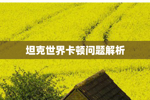 坦克世界卡顿问题解析图片